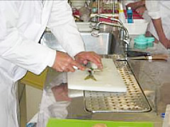 䏊Z